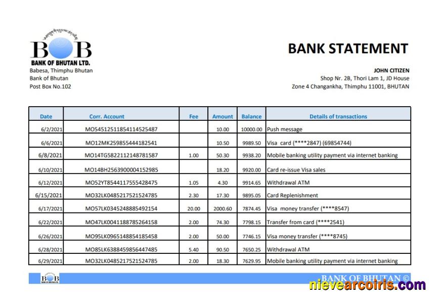 Bhutan Bank of Bhutan bank statement easy to fill in Excel and PDF format